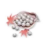 3000 Echo beads